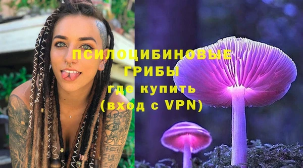 гидропоника Ростов