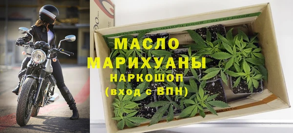 индика Рославль