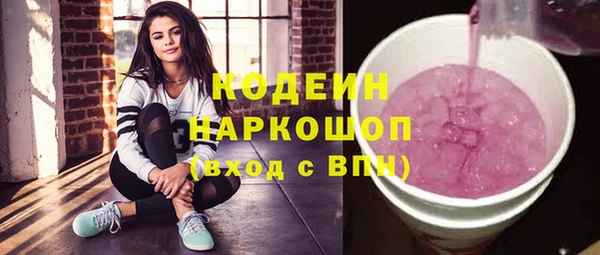 индика Рославль