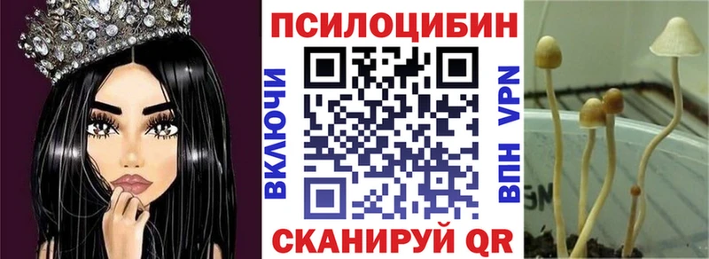 Псилоцибиновые грибы MAGIC MUSHROOMS  Купить  Людиново 